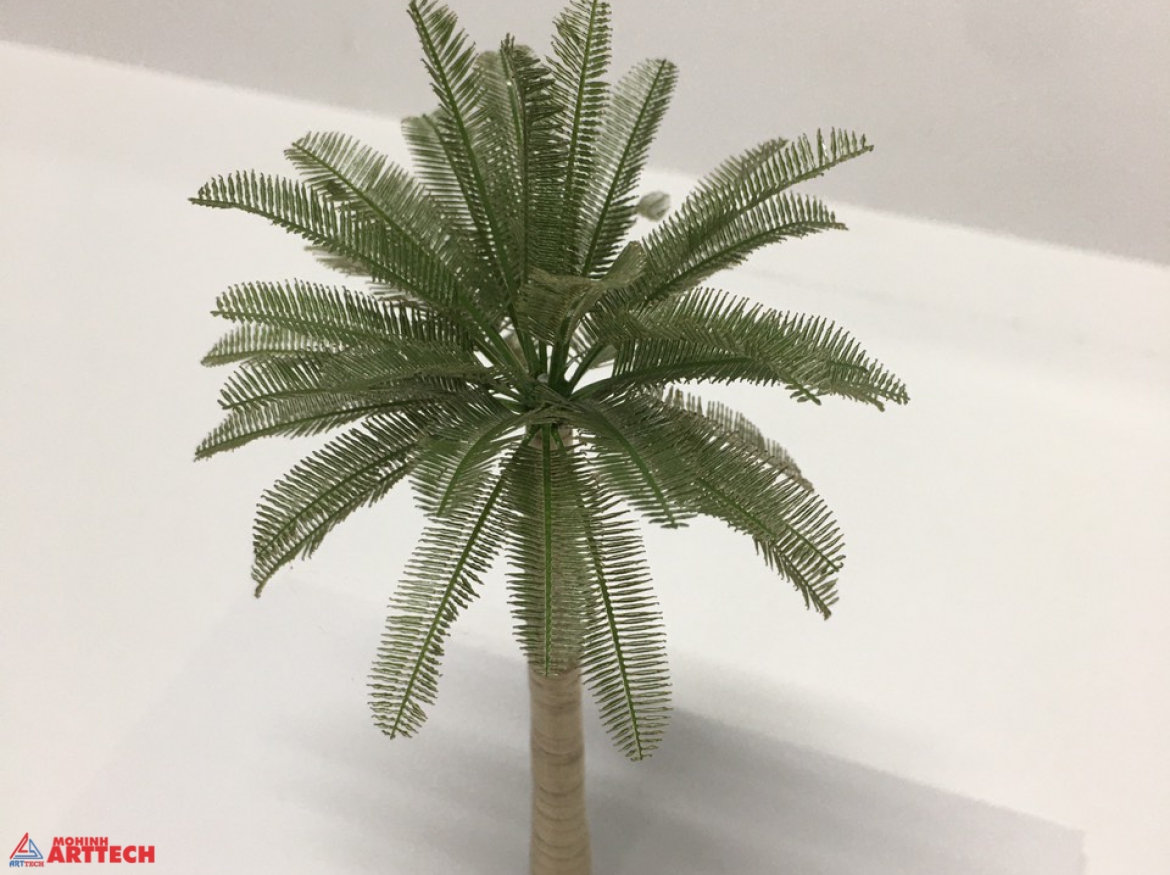 CÂY CỌ DẦU TL 50